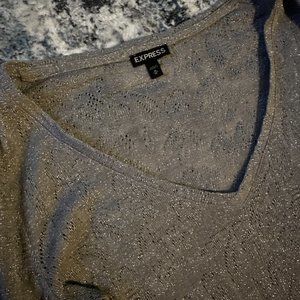 Express Long Sleeved Metallic Knit Shirt